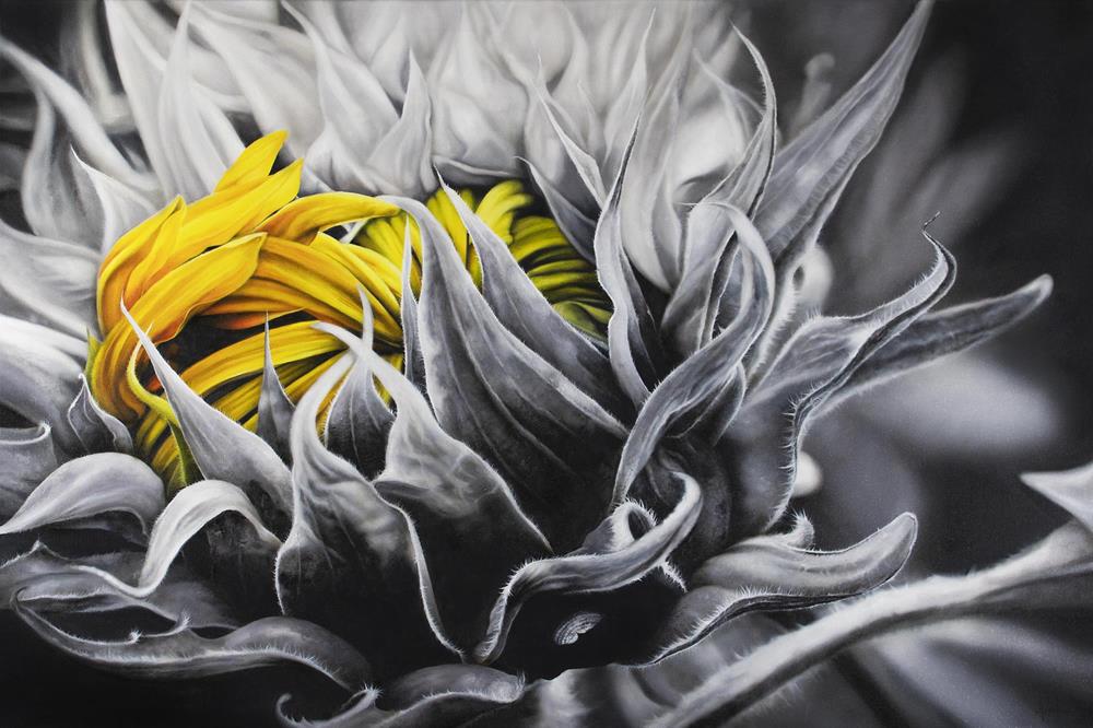 Sunflower 120 x 80 cm - Malereien