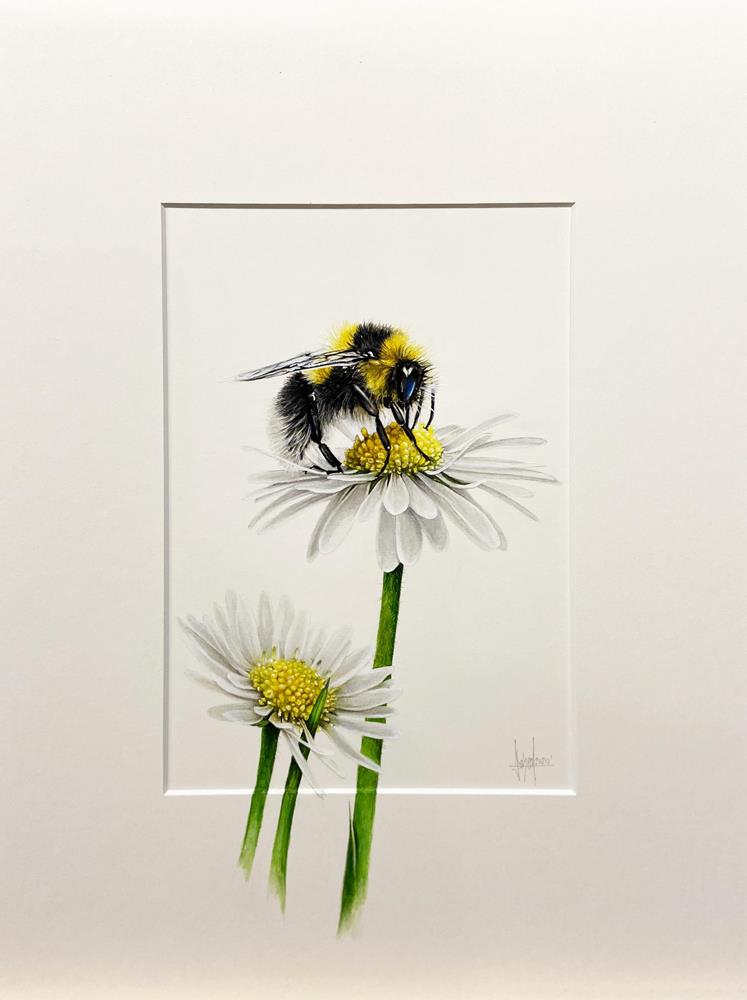 Abeille - Malereien