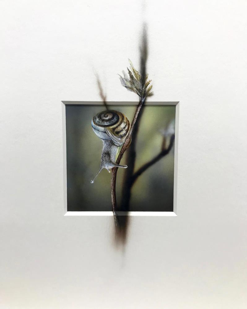 Schleek 10 x 10 cm - Malereien