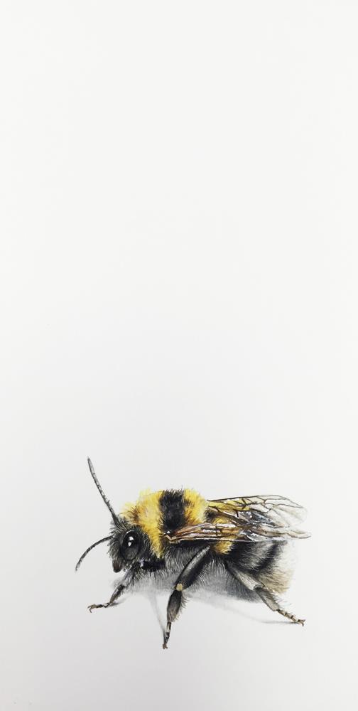 Biene 1 - Malereien