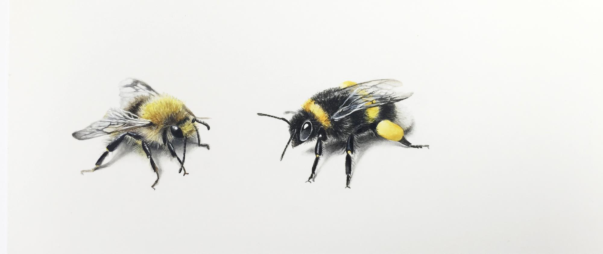 Bienen 6 - Malereien