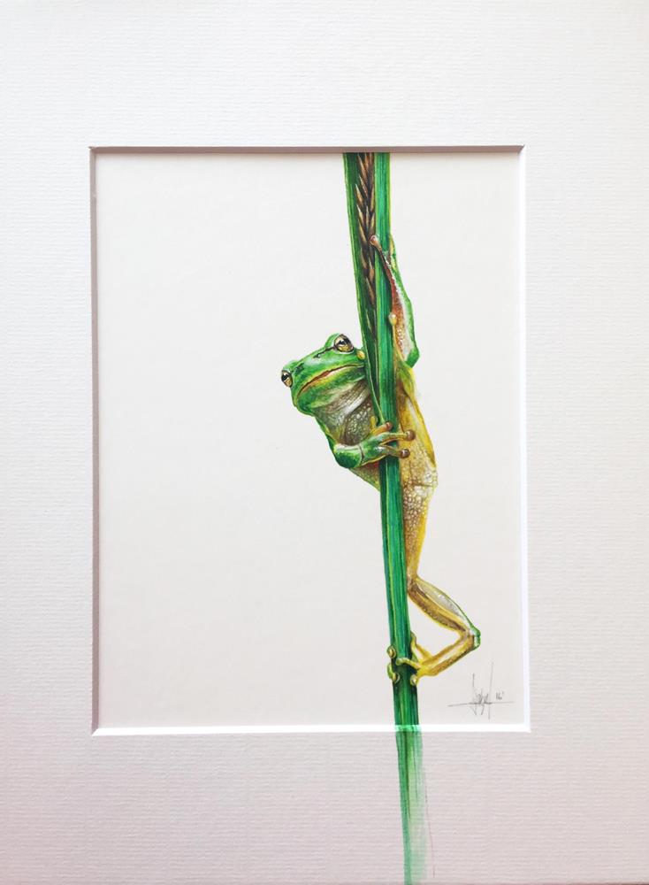 Frog 3 - Malereien