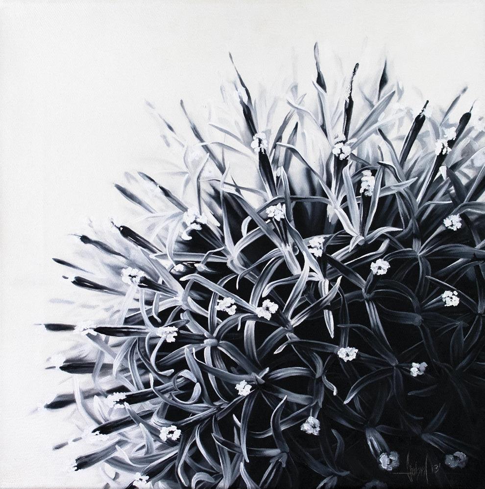 Alium 40 x 40 cm - Peintures