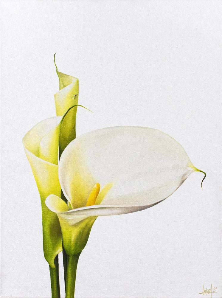 Calla 40 x 30 cm - Malereien