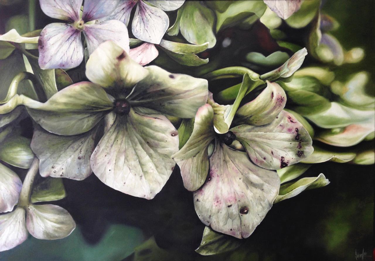 Hydrangea 120 x 80 cm - Malereien