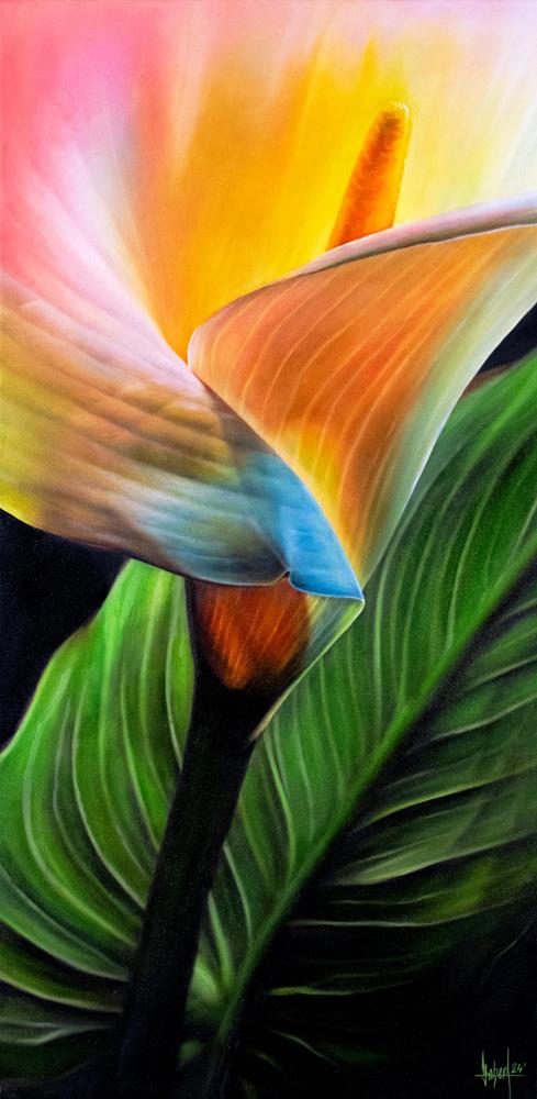 Calla 100 x 50 cm - Malereien
